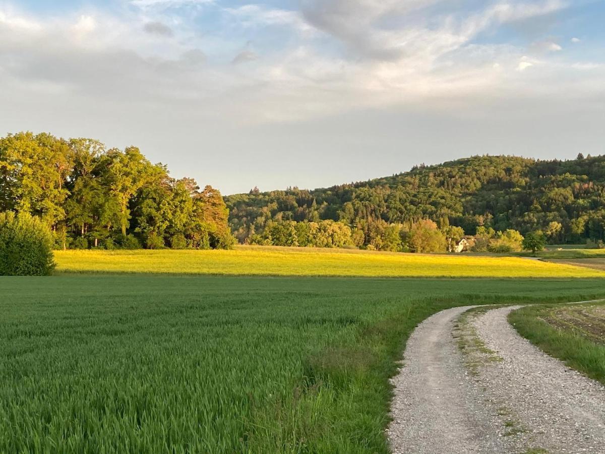 Buesingen Am Hochrhein Radfahren, Wandern, Natur Geniessen Esterno foto