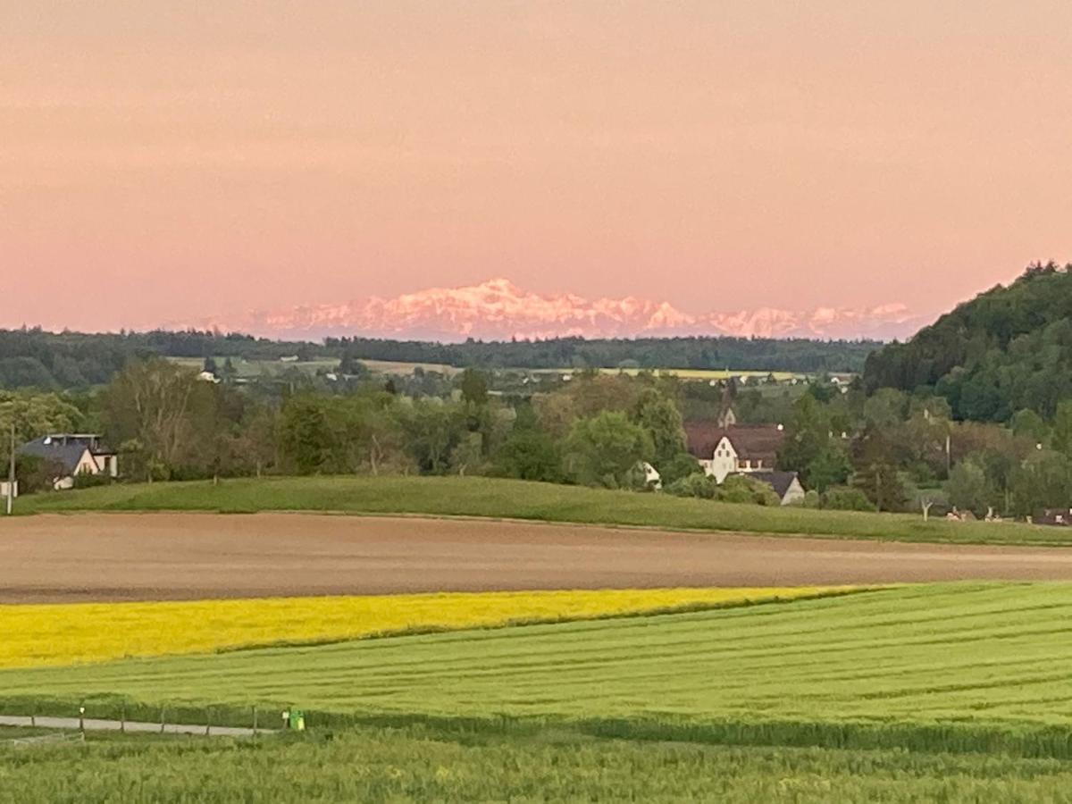 Buesingen Am Hochrhein Radfahren, Wandern, Natur Geniessen Esterno foto