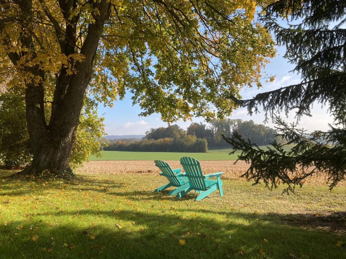 Buesingen Am Hochrhein Radfahren, Wandern, Natur Geniessen Esterno foto